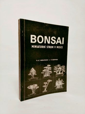 Bonsai, miniaturní strom v misce