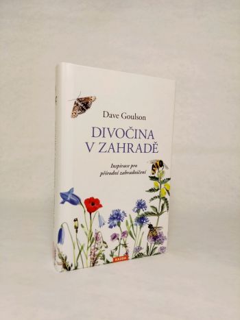 Divočina v zahradě